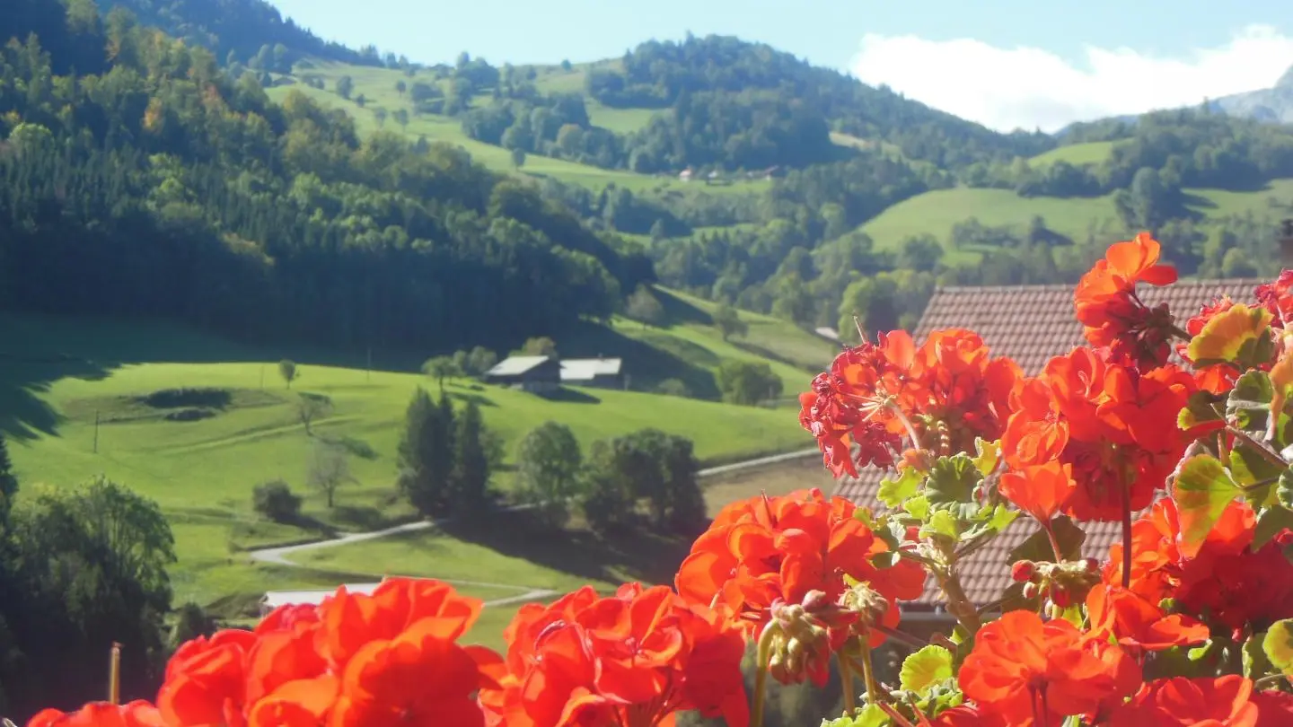 Depuis le balcon, clin d'oeil sur la vallée
