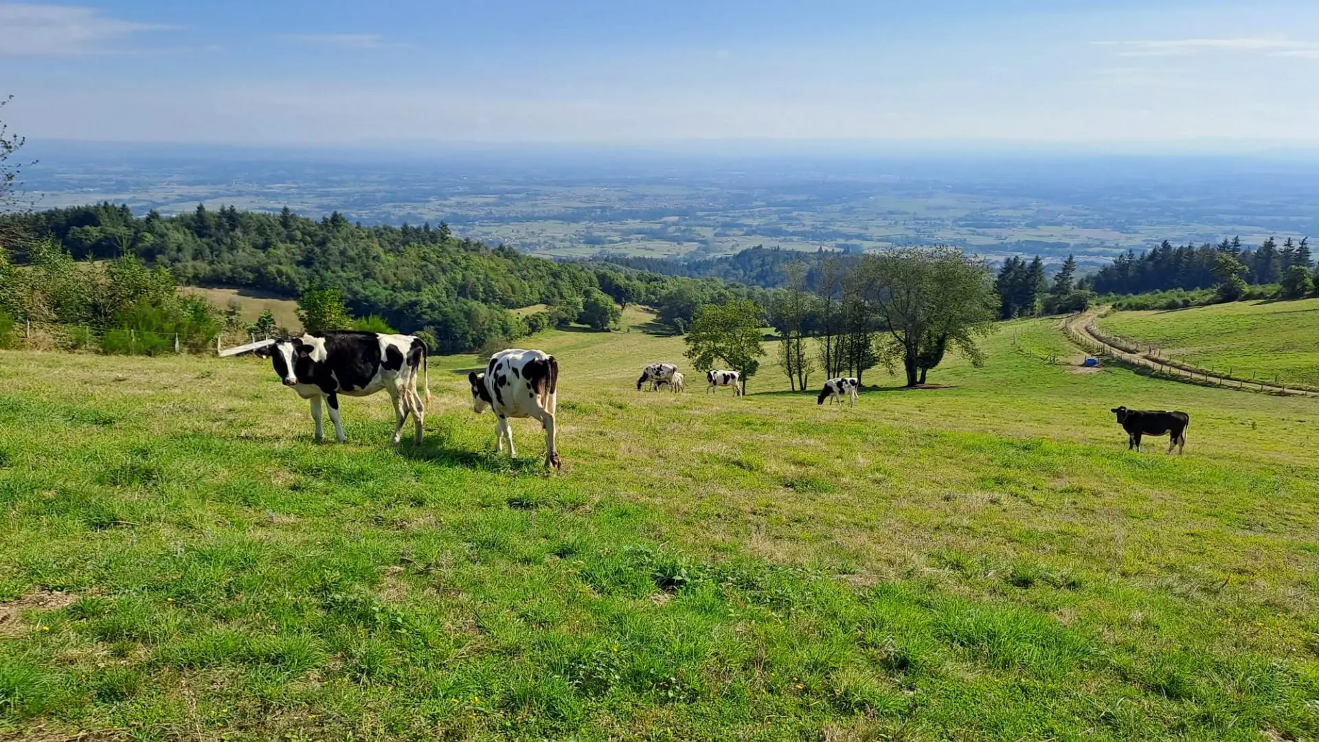 Itinérance au cœur des Monts de la Madeleine
