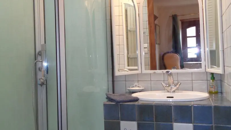 Sanitaires privatifs (douche et WC sanibroyeur) à la chambre n°1.