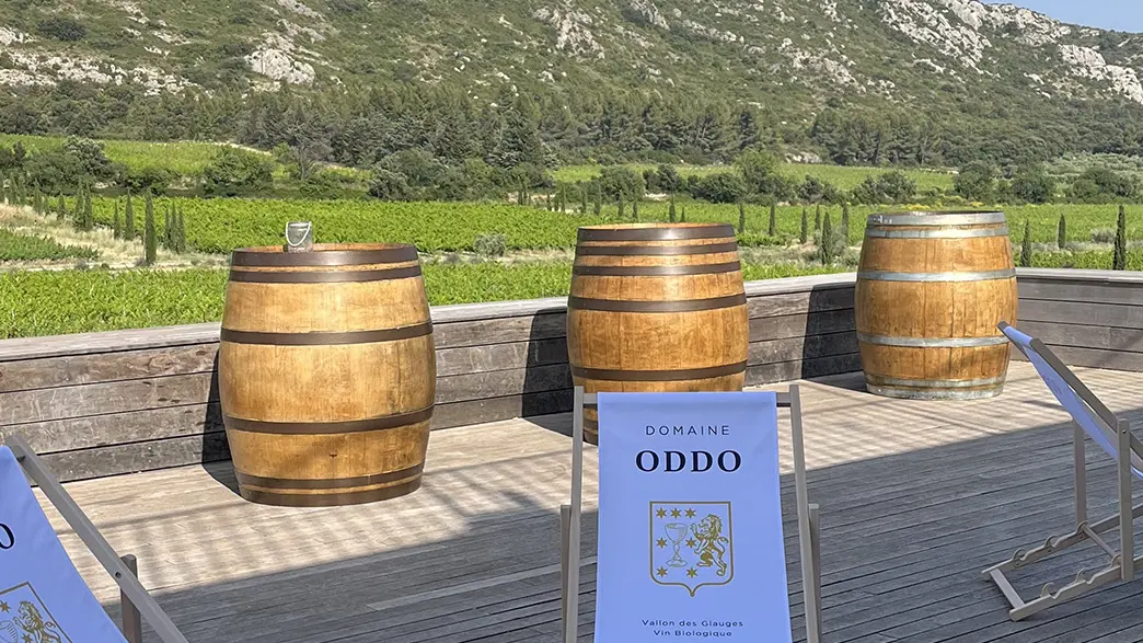 Vue Alpilles terrasse Vallon des Glauges