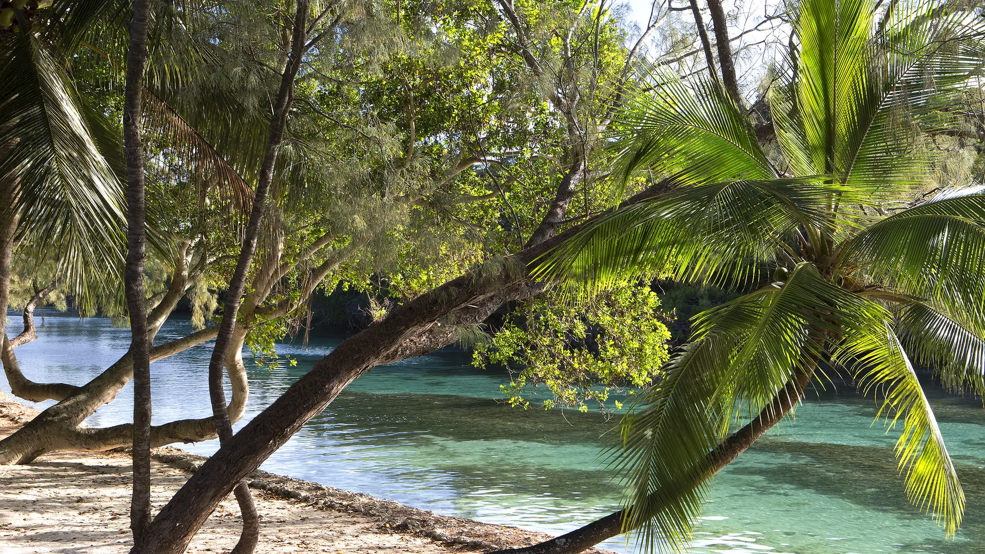 Le Domaine d'Oro, Suites by Mariott