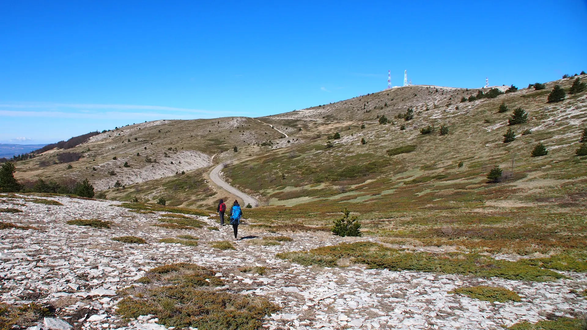 A la découverte de lure