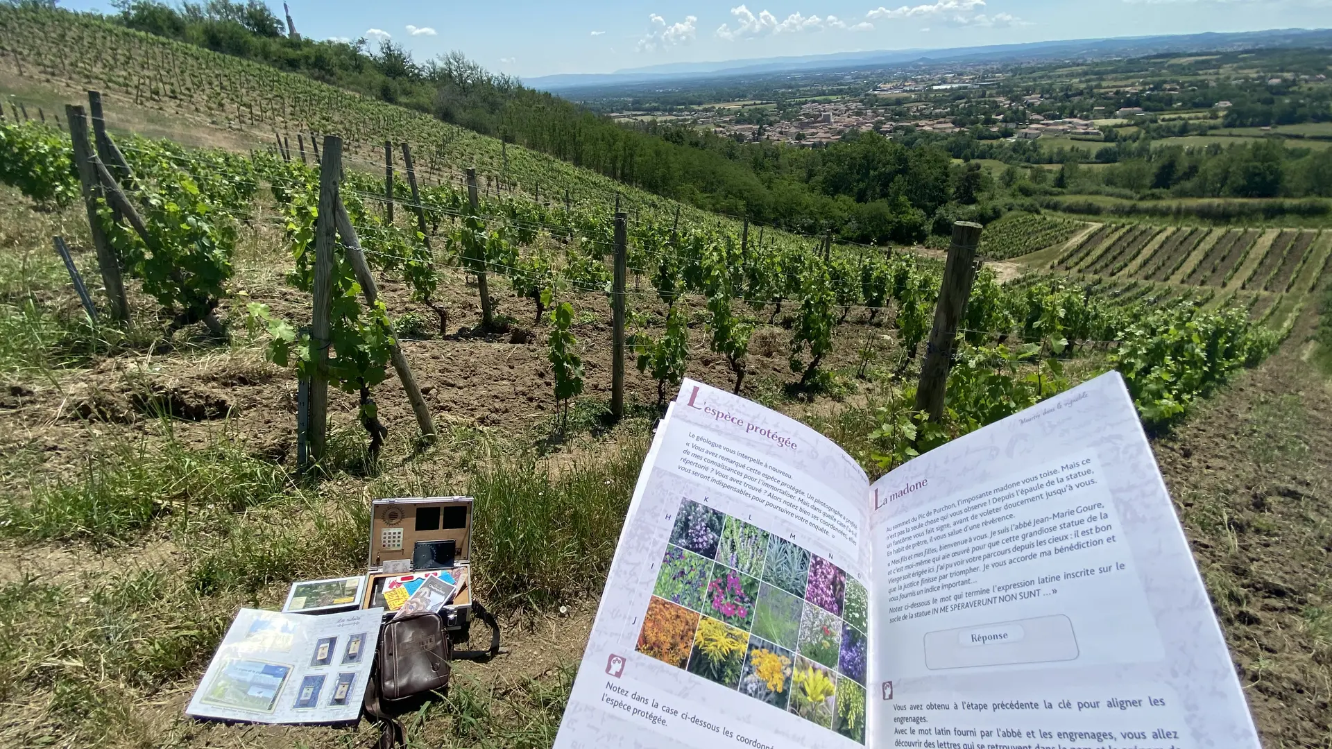 Vue du Pic du Purchon  sur le village de  Champdieu