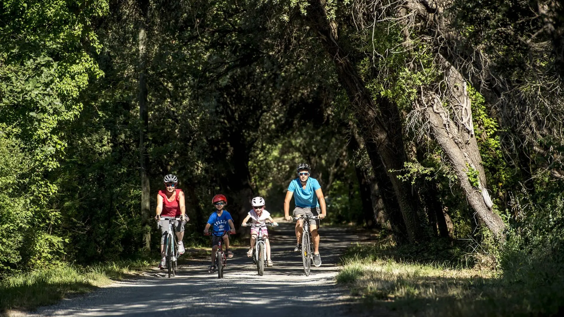 Sur les routes ombragées du Pays d'Aigues