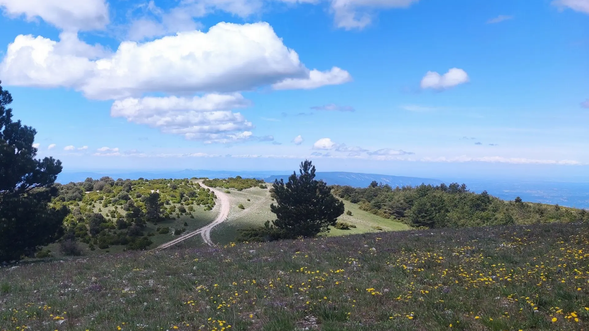 Crêtes du Grand Luberon