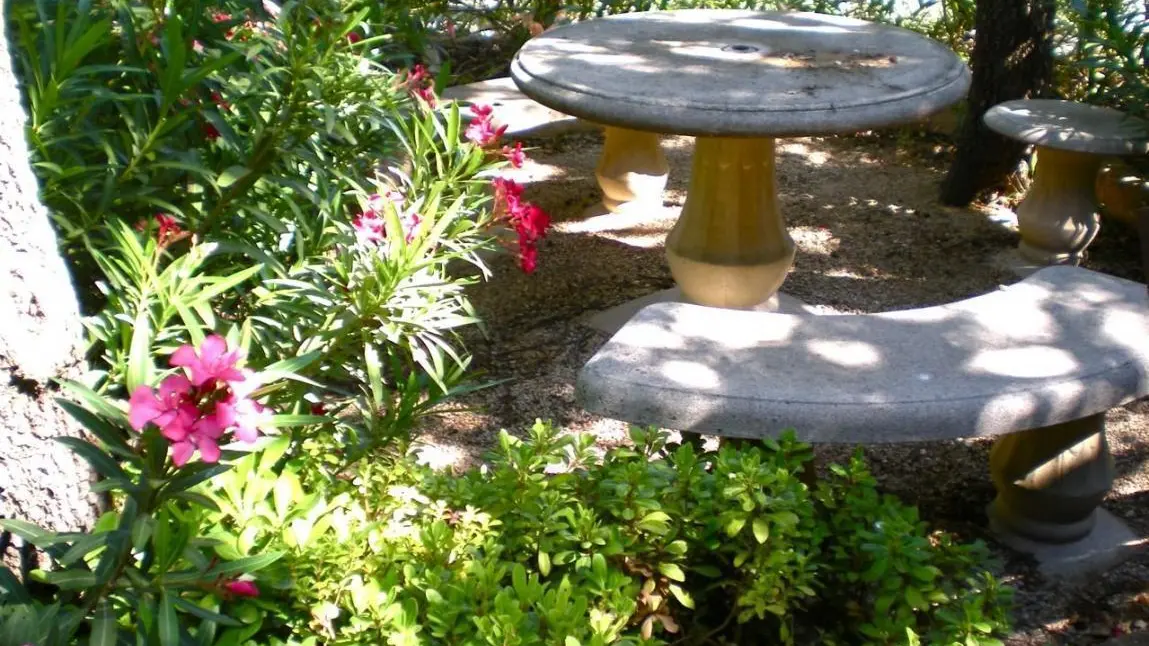 photo15