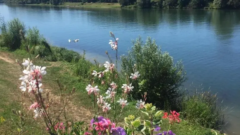 Bords de Saône pour belles balades à 2 km