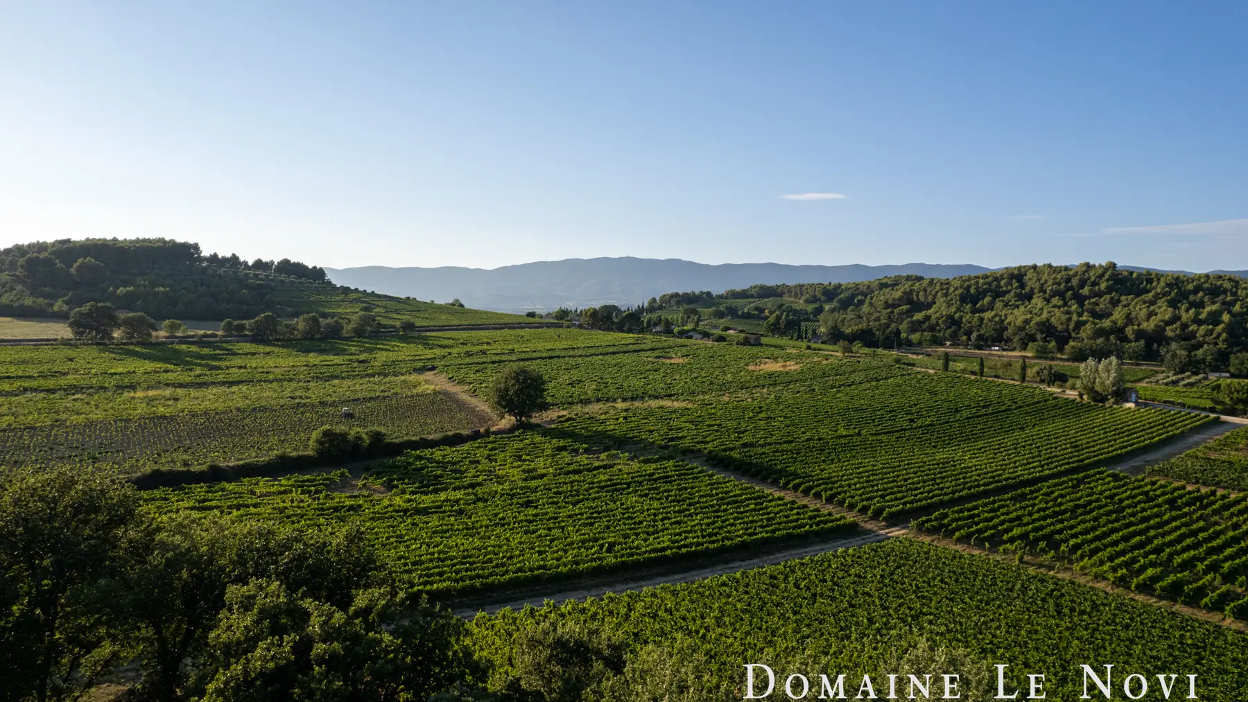 Domaine Le Novi