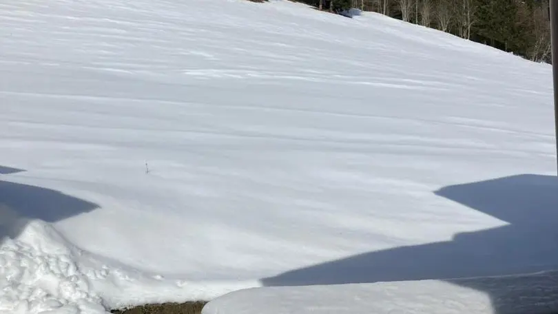 L'arrière du chalet : au coeur de la nature, en toute tranquilité !