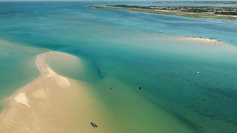 Sea trip with Dream'On_Saint-Martin-de-Ré