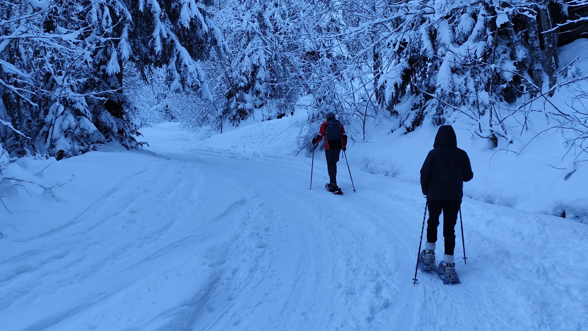 Snow-covered forest road path with walkers