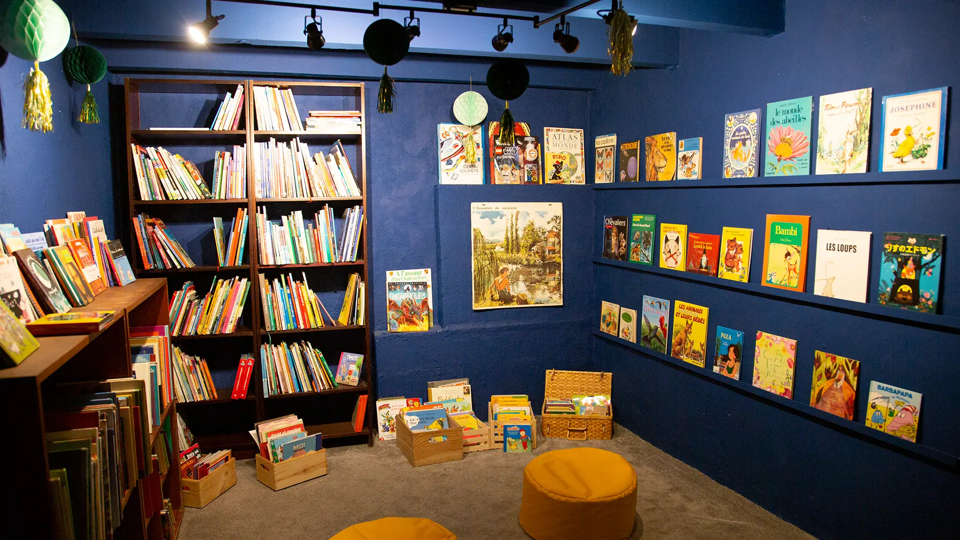 espace librairie