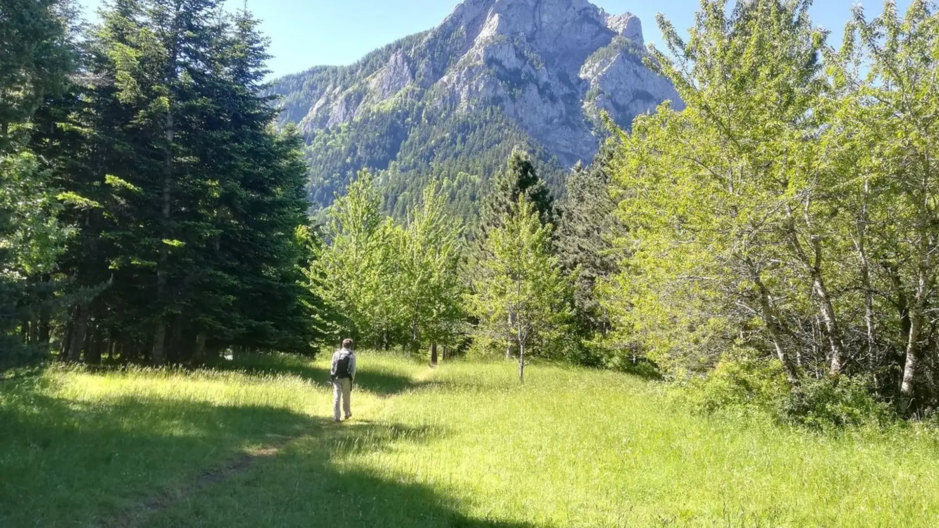 Praires de Pierre Arnoux avec vue sur le Pic de Morgon