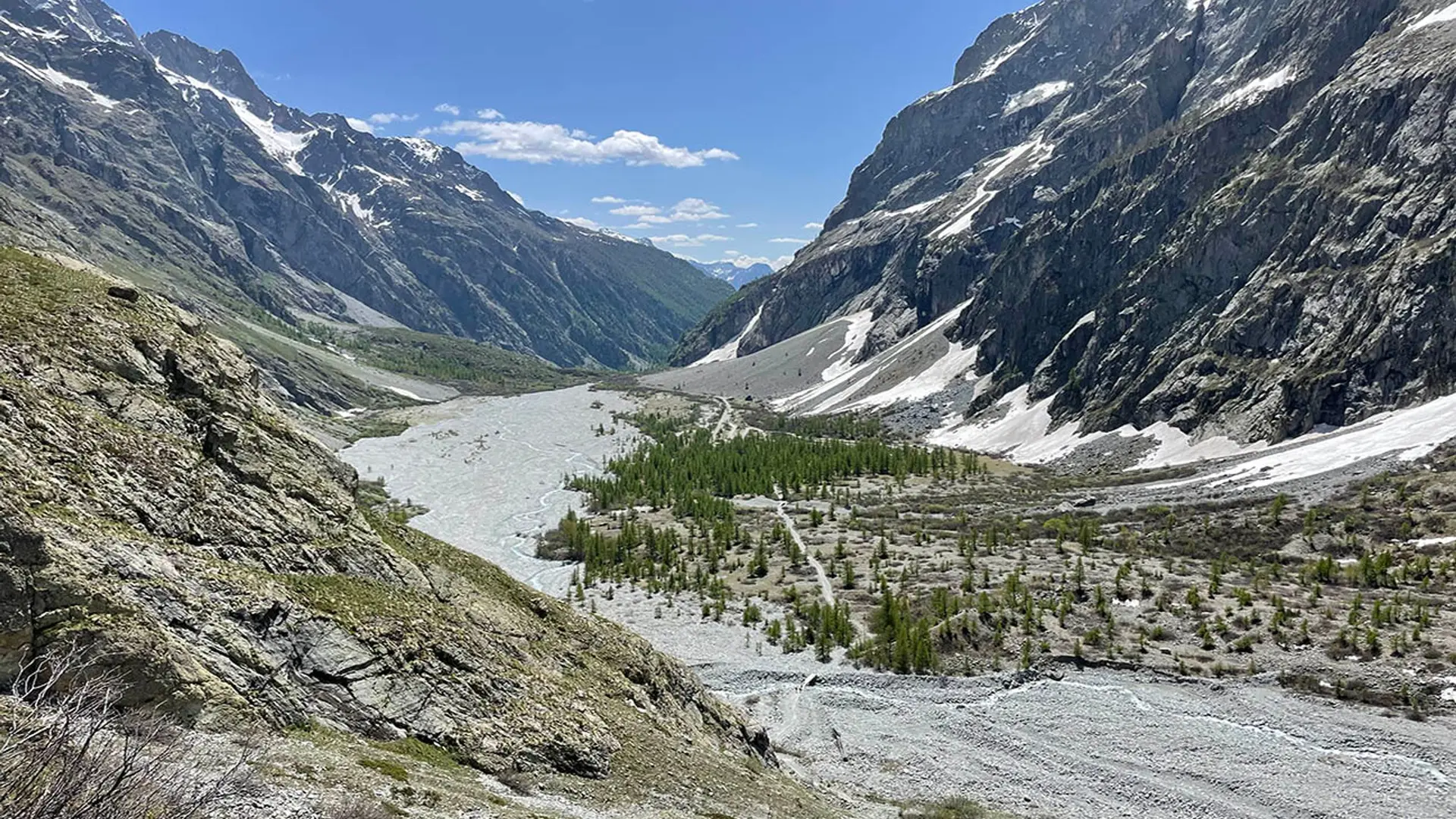Pré de Madame Carle depuis le sentier d'été