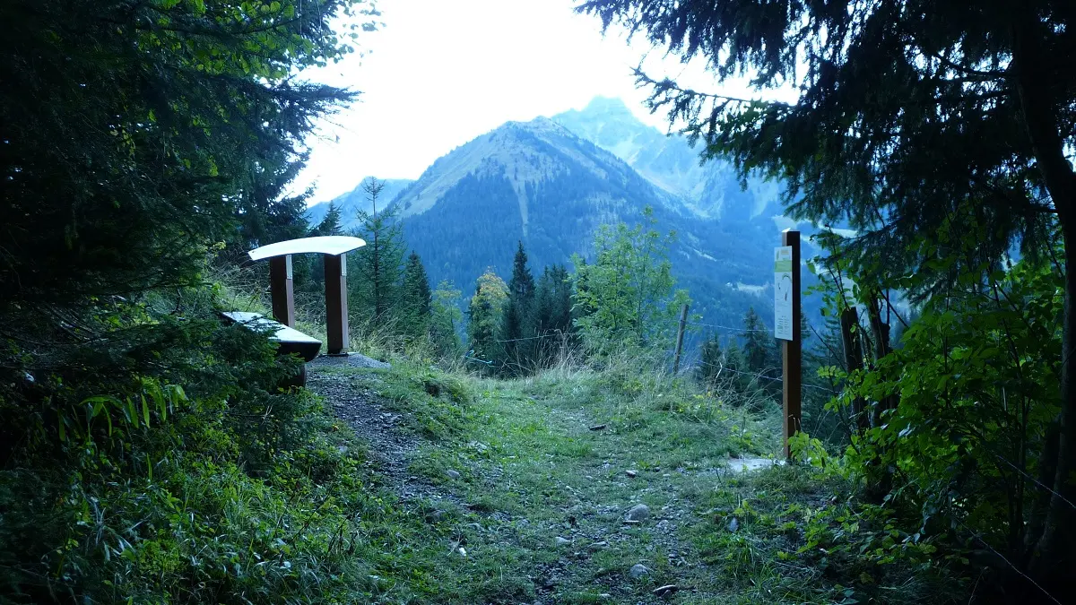 Point de vue