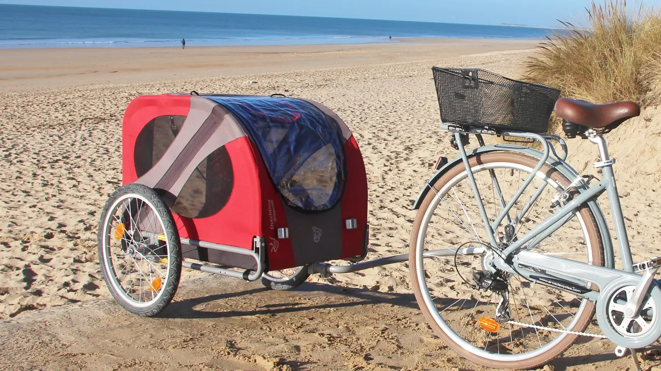 Les vélos de l'île de ré