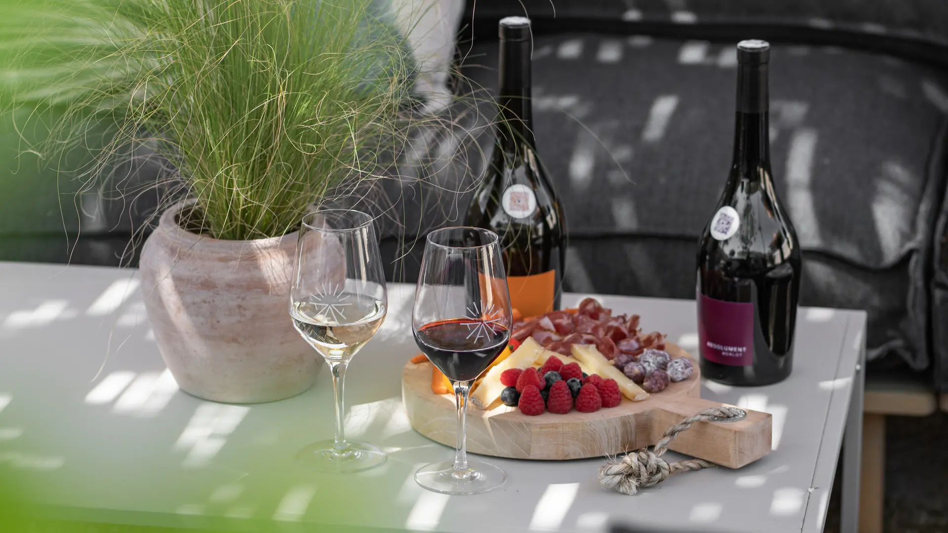 dégustation de vins, huiles d'olive et planche gourmande aux Terrasses d'Adrien_Sannes