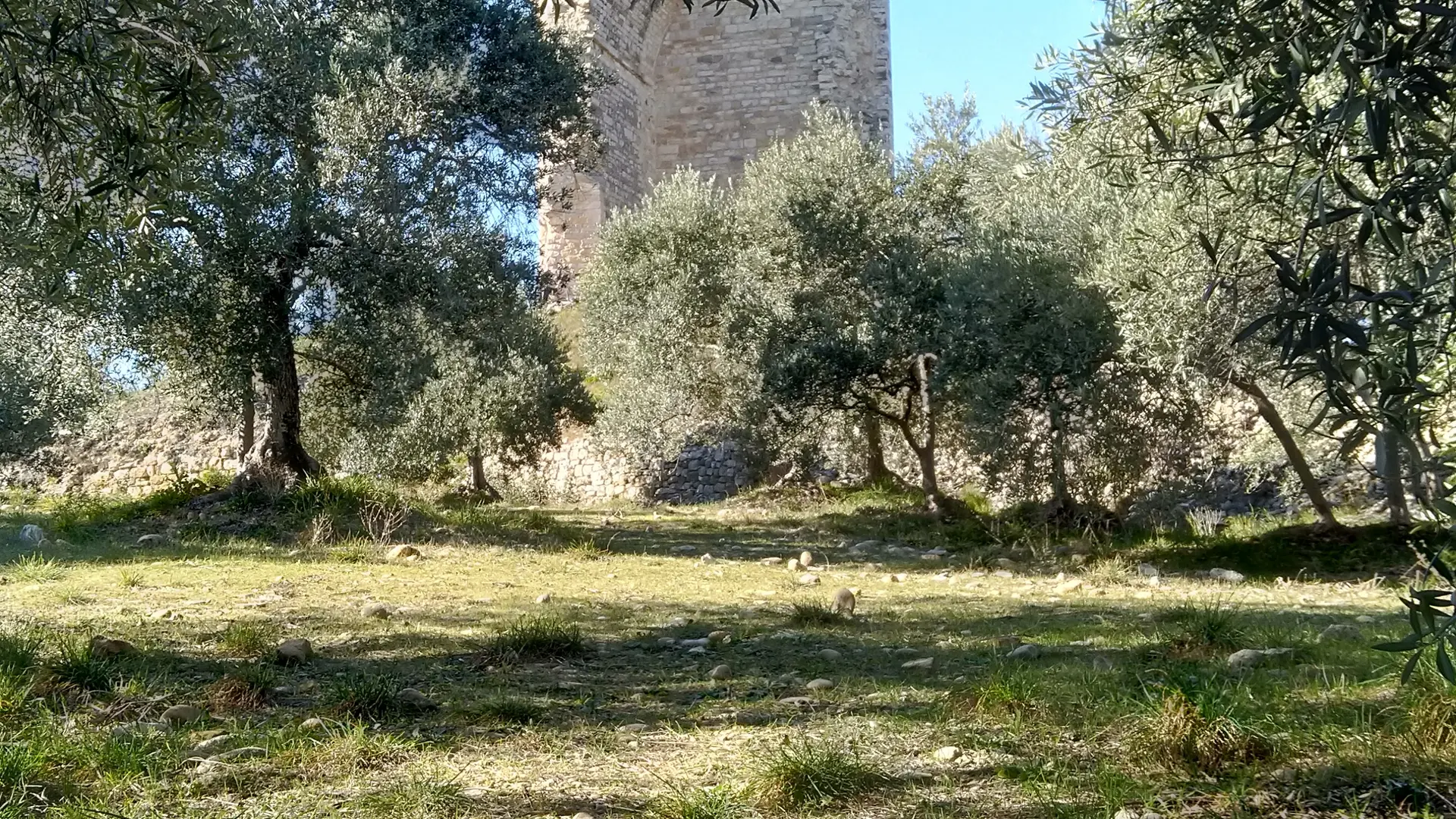 Tour du Mont d'Or