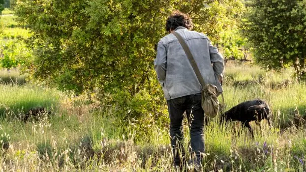 Démonstration de cavage