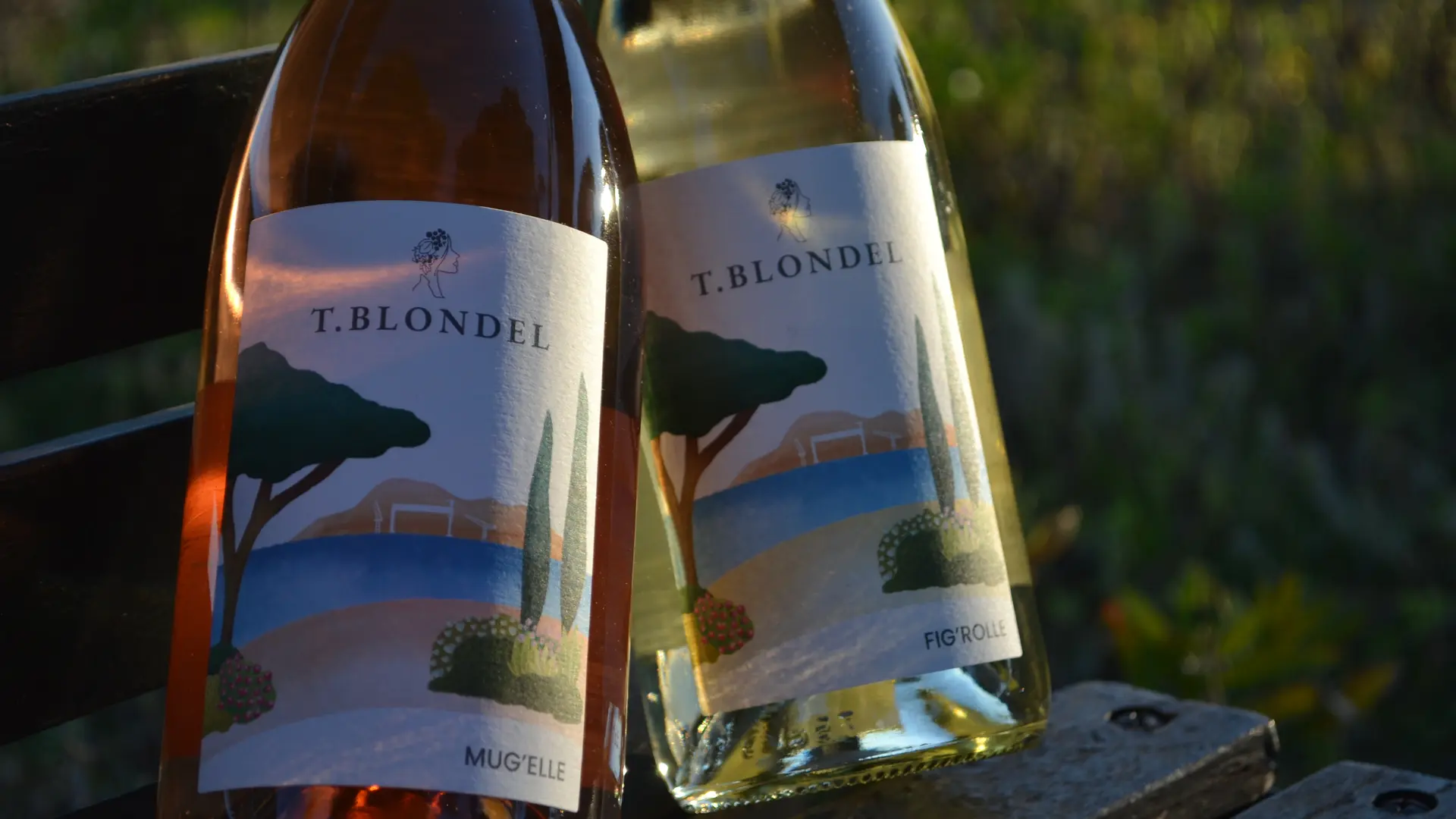 T.Blondel Vins Ciotadens