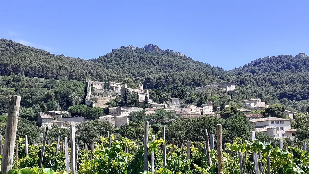 Au coeur des Dentelles de Montmirail