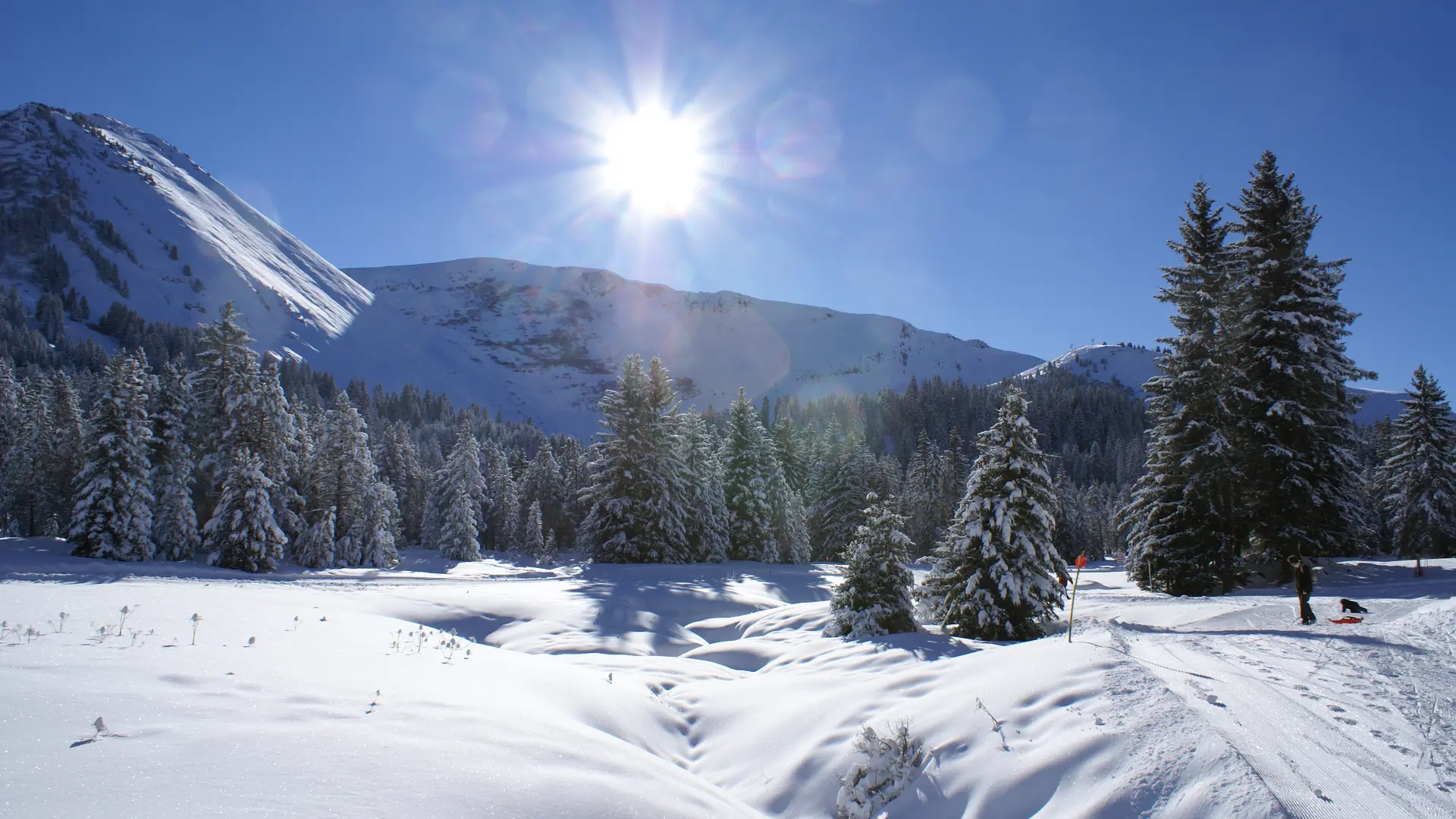 Boucle des sapins