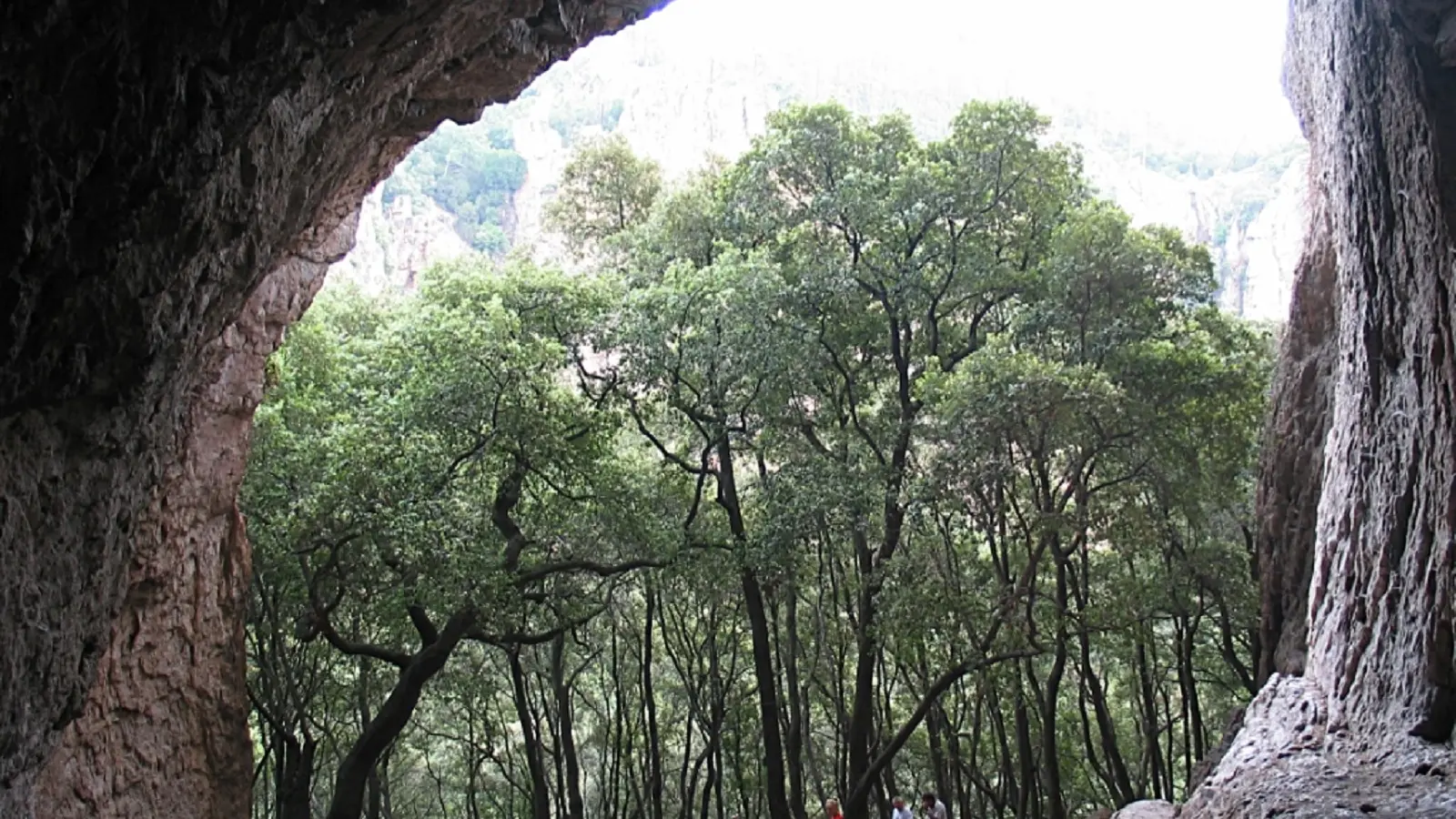 Grotte du Muéron