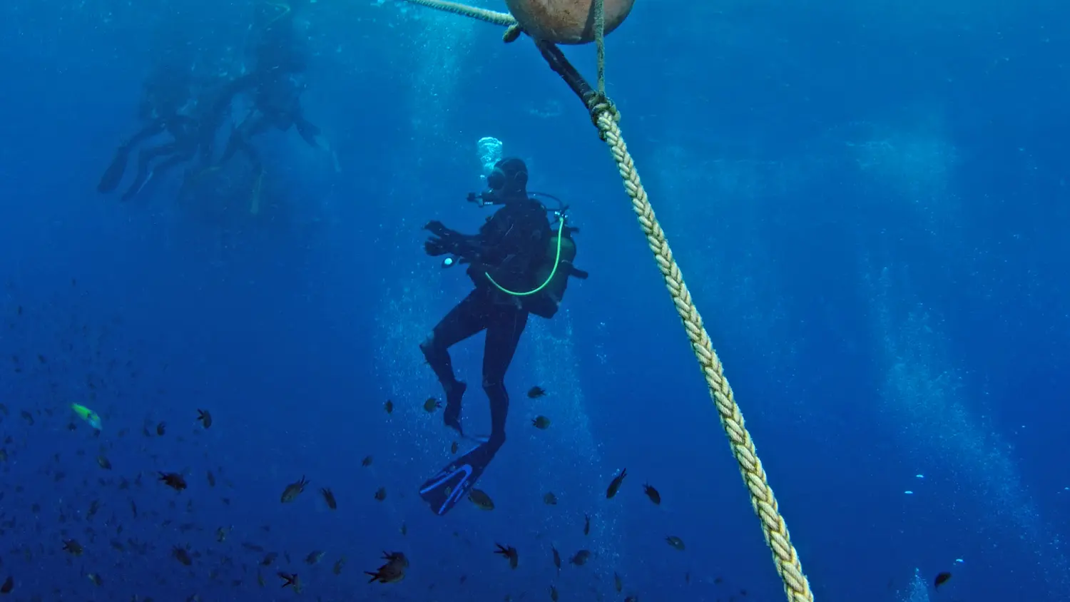 Centre de plongée Cap Plongée Six Fours