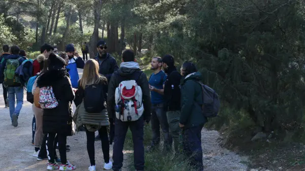 Naturopathic hike and poetry in Calanque of Morgiou (half-day)