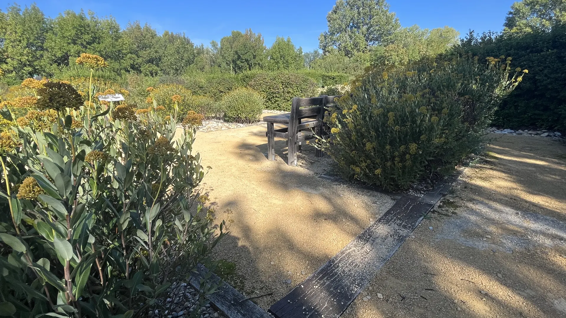 Arboretum de Beauregard à Jonquières