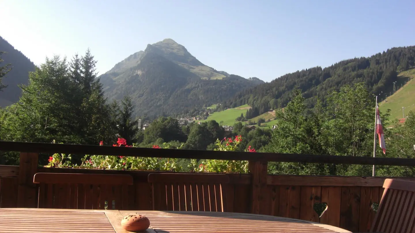Terrasse - Panorama Vue Eté (Sud)