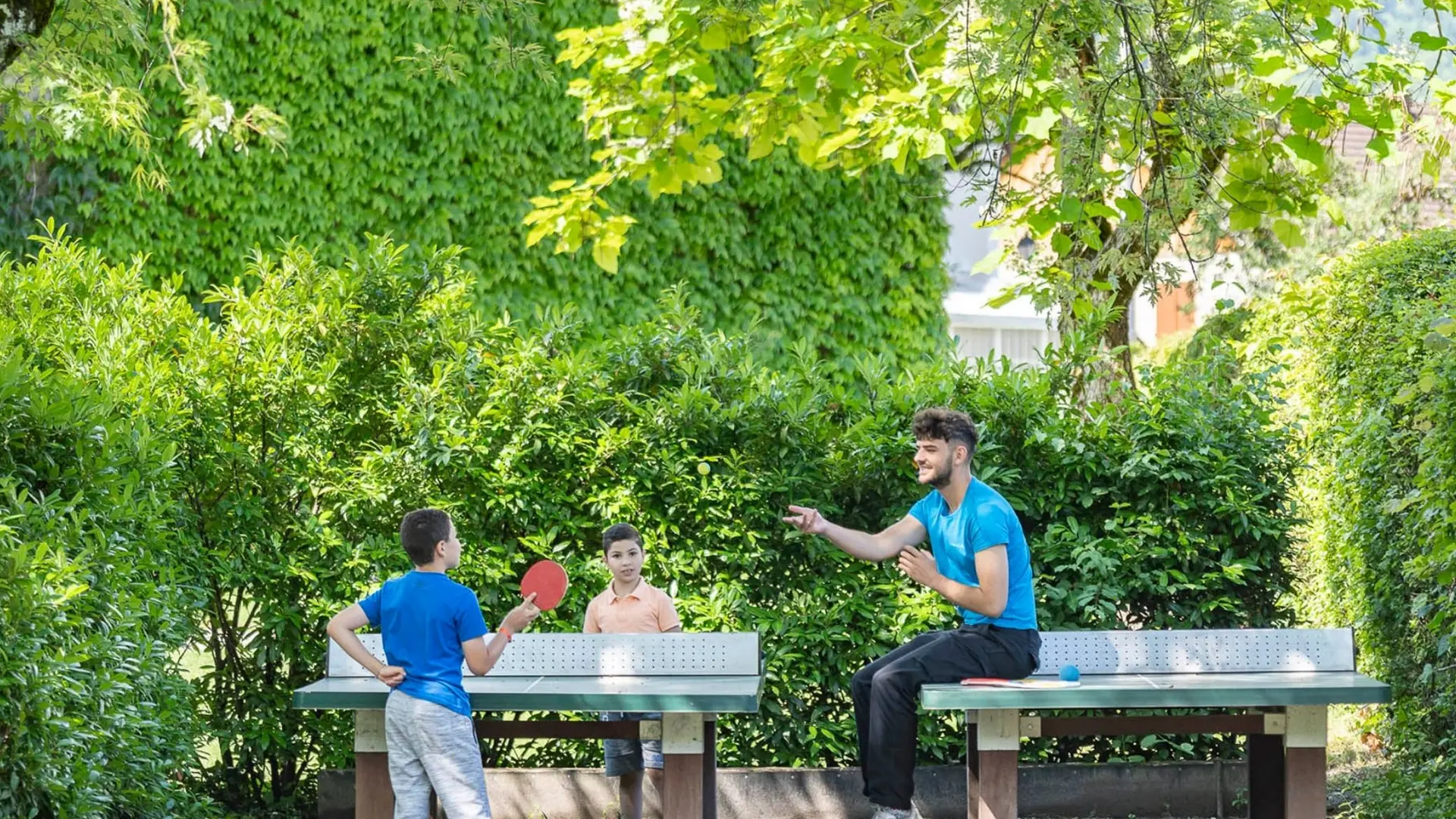 Ping-Pong