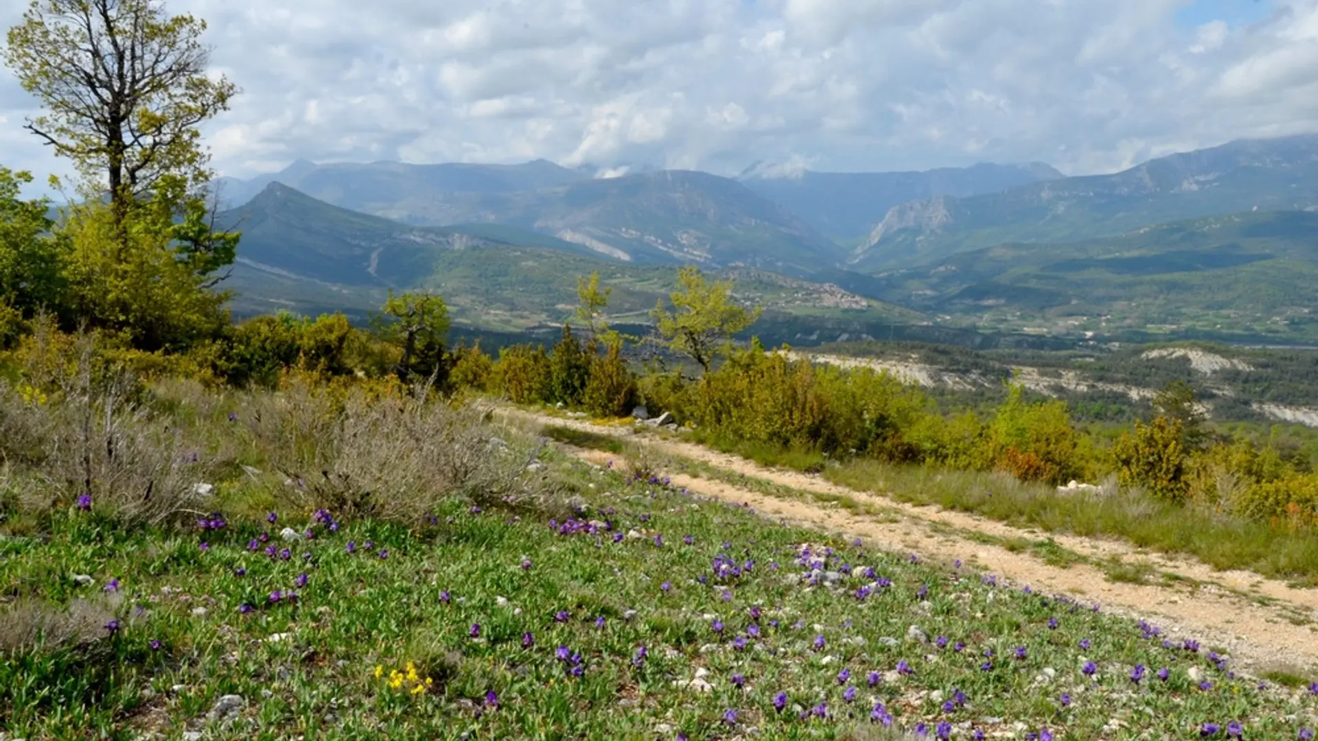 Sur les hauteurs de Trigance