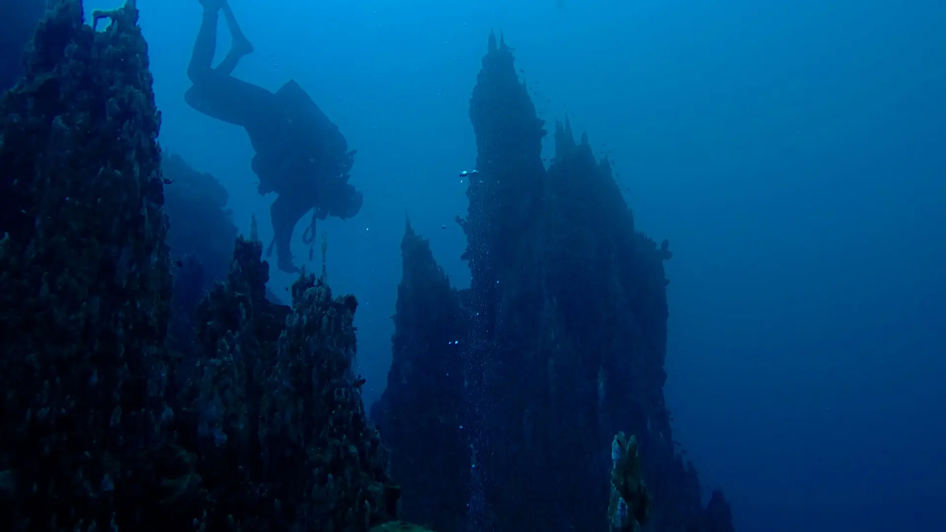 L'un des sites encore méconnu à découvrir avec Mobula : l'Aiguille de Prony, majestueuse, en plongée sous-marine !