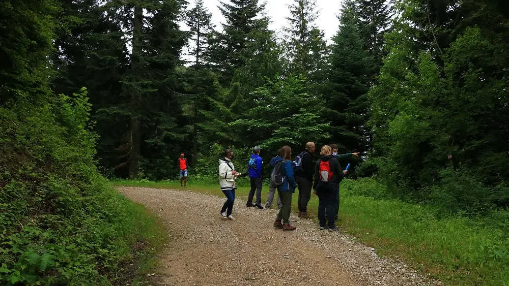 RBI Griffe du diable