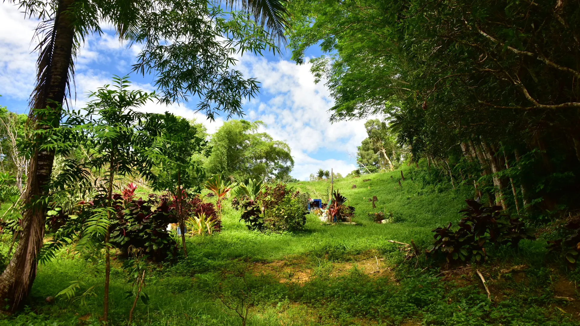 Dans la vallée de Poyes