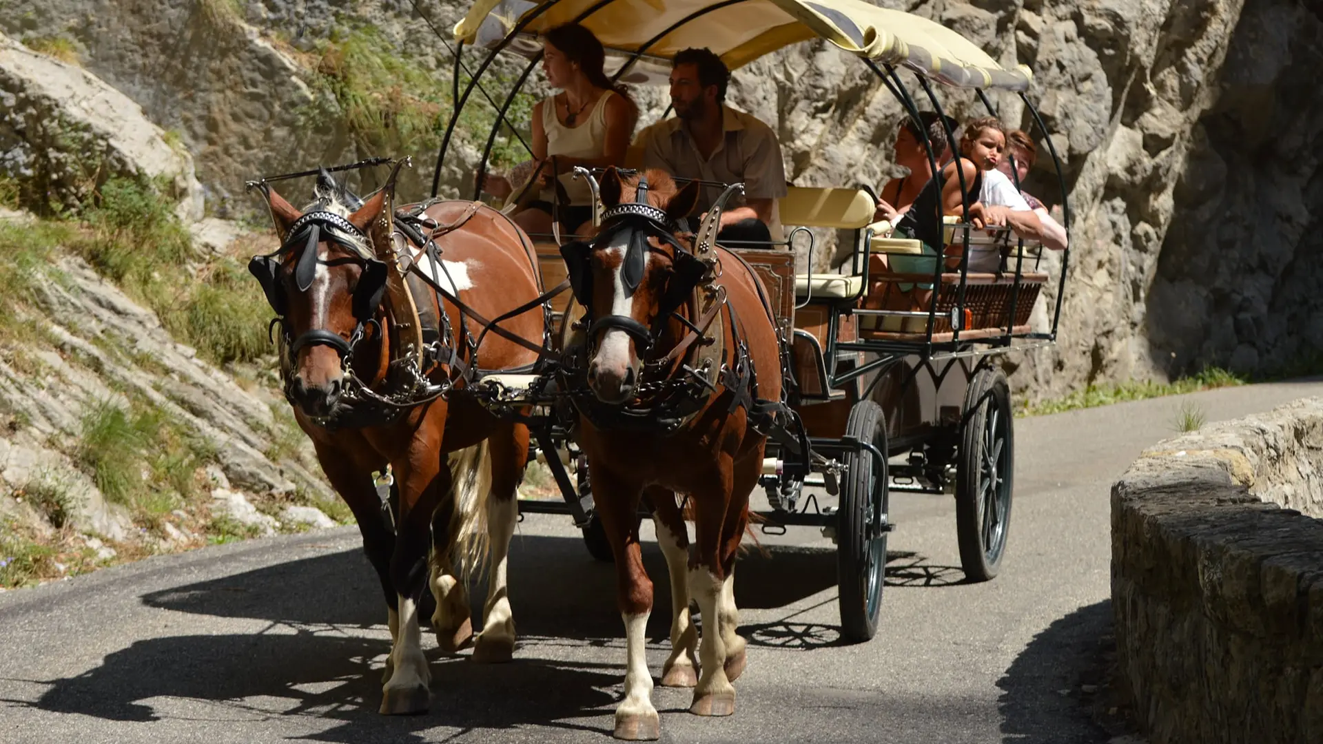 calèche chevaux de roquépine