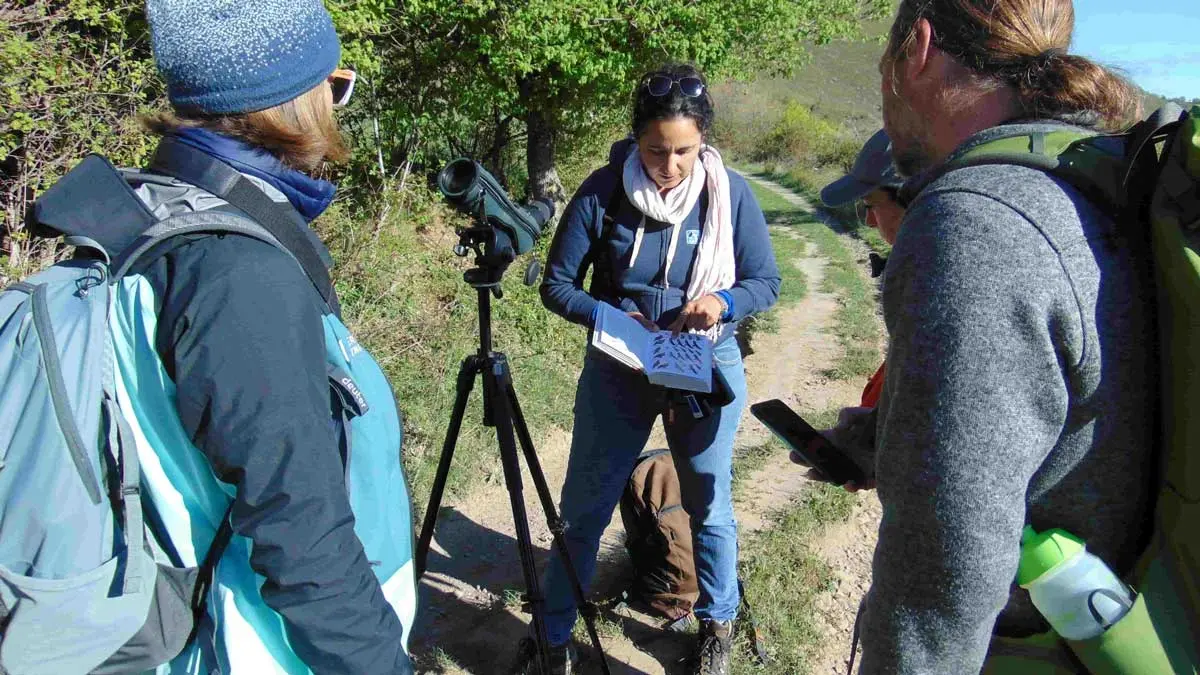 Reconnaissance des espèces