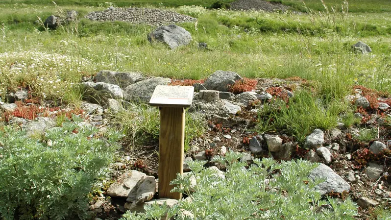 Sentier plantes comestibles