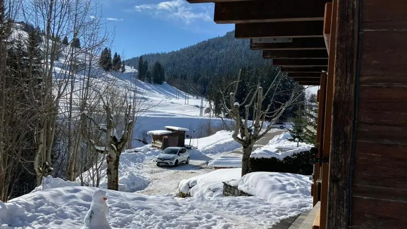 Les pistes, à 200m à pied du chalet.