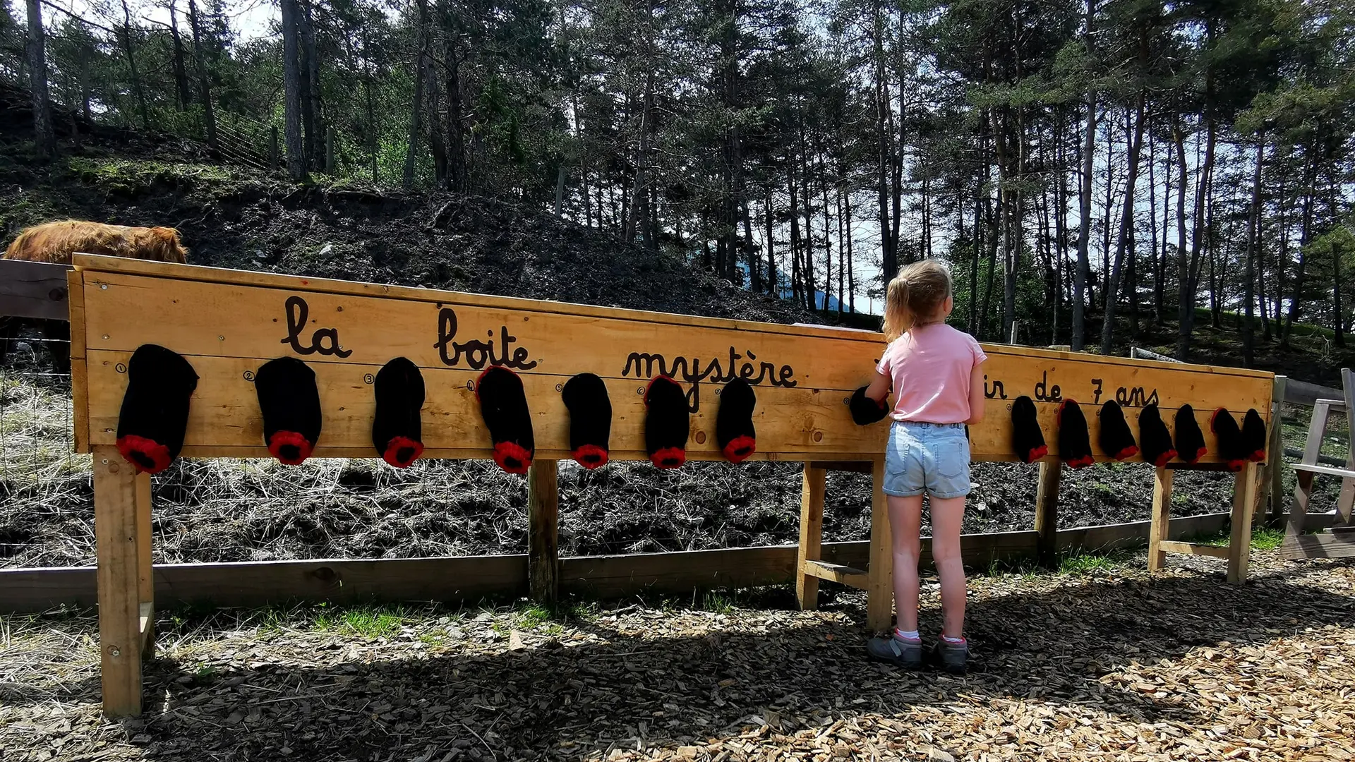 Boîte à Mystères Colline des Lutins