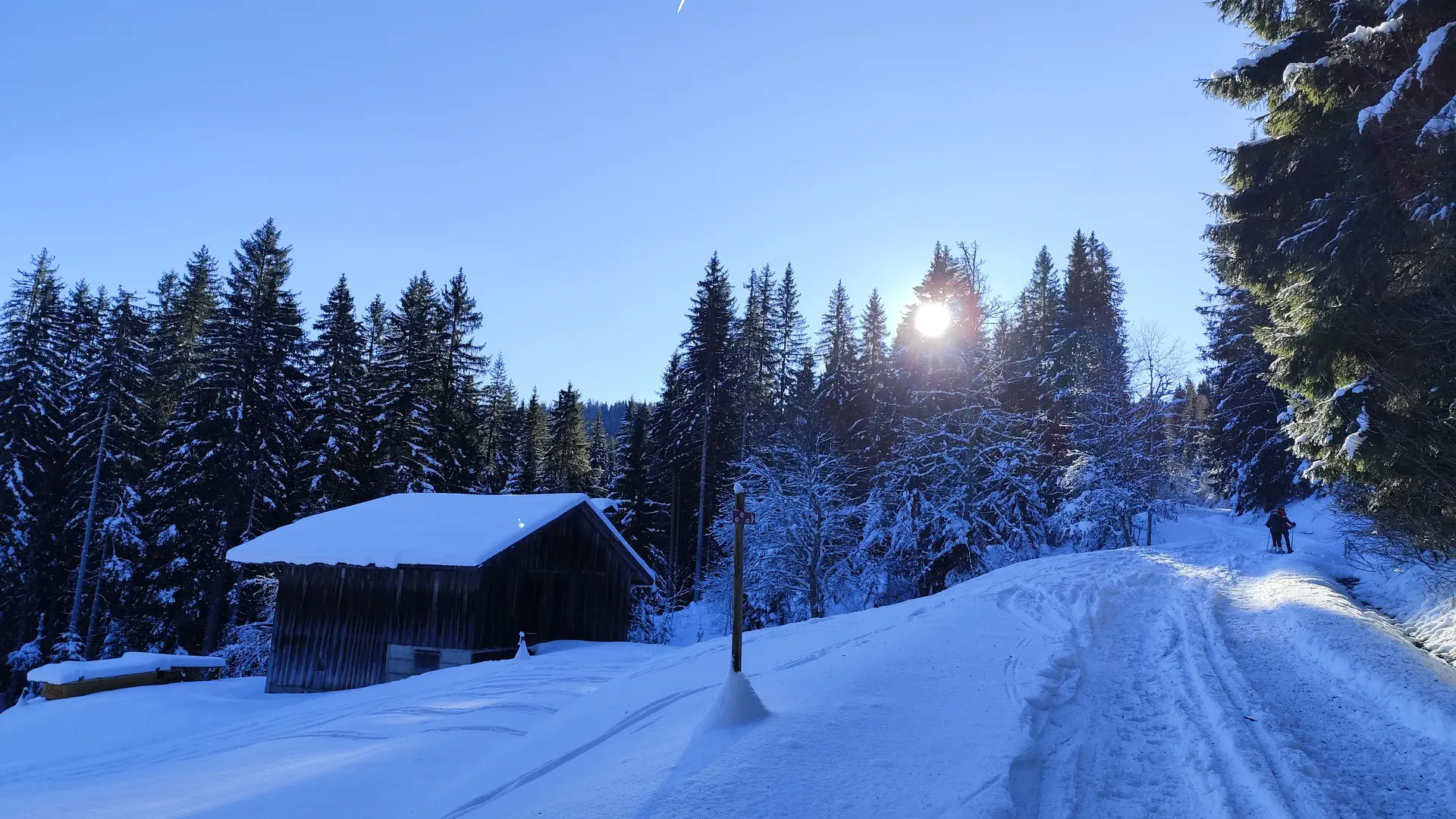 House near forest road