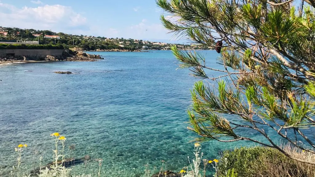 Calanque à 150m du camping2