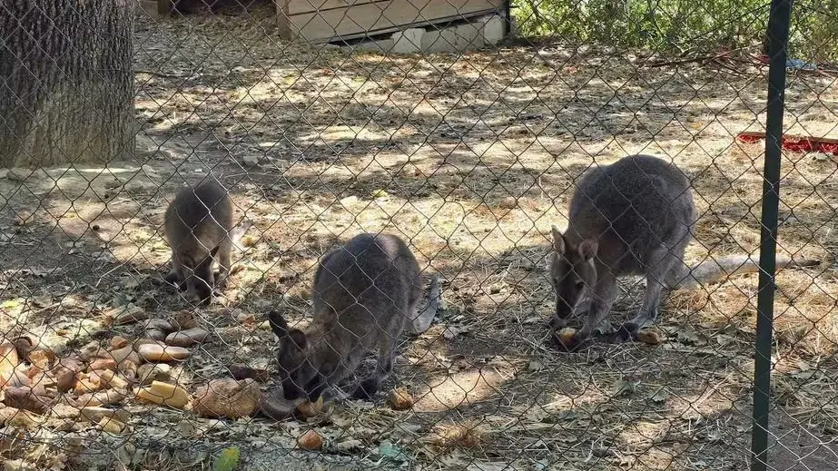 Centre équestre Le Jas des Rocs-Contes-Gîte de France Alpes-Maritimes