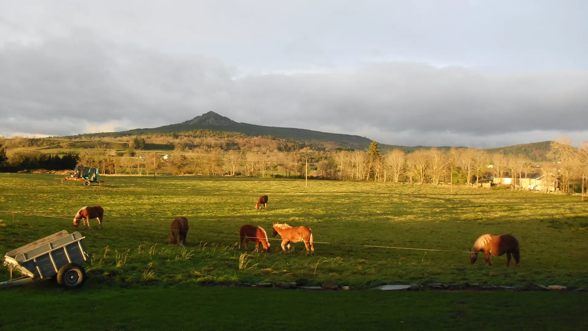 Vue sur le Lizieux depuis la ferme