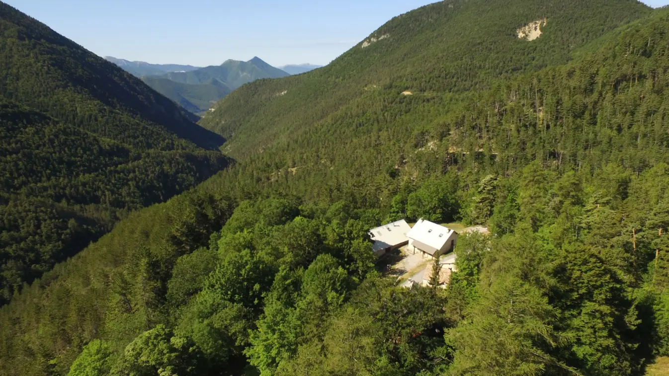 Retrouvance® Musique au cœur des forêts_Montmaur