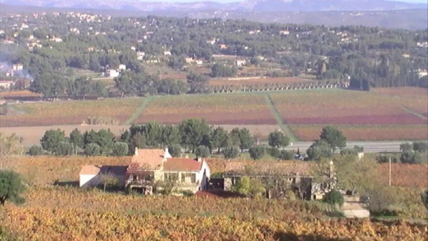 Vignoble