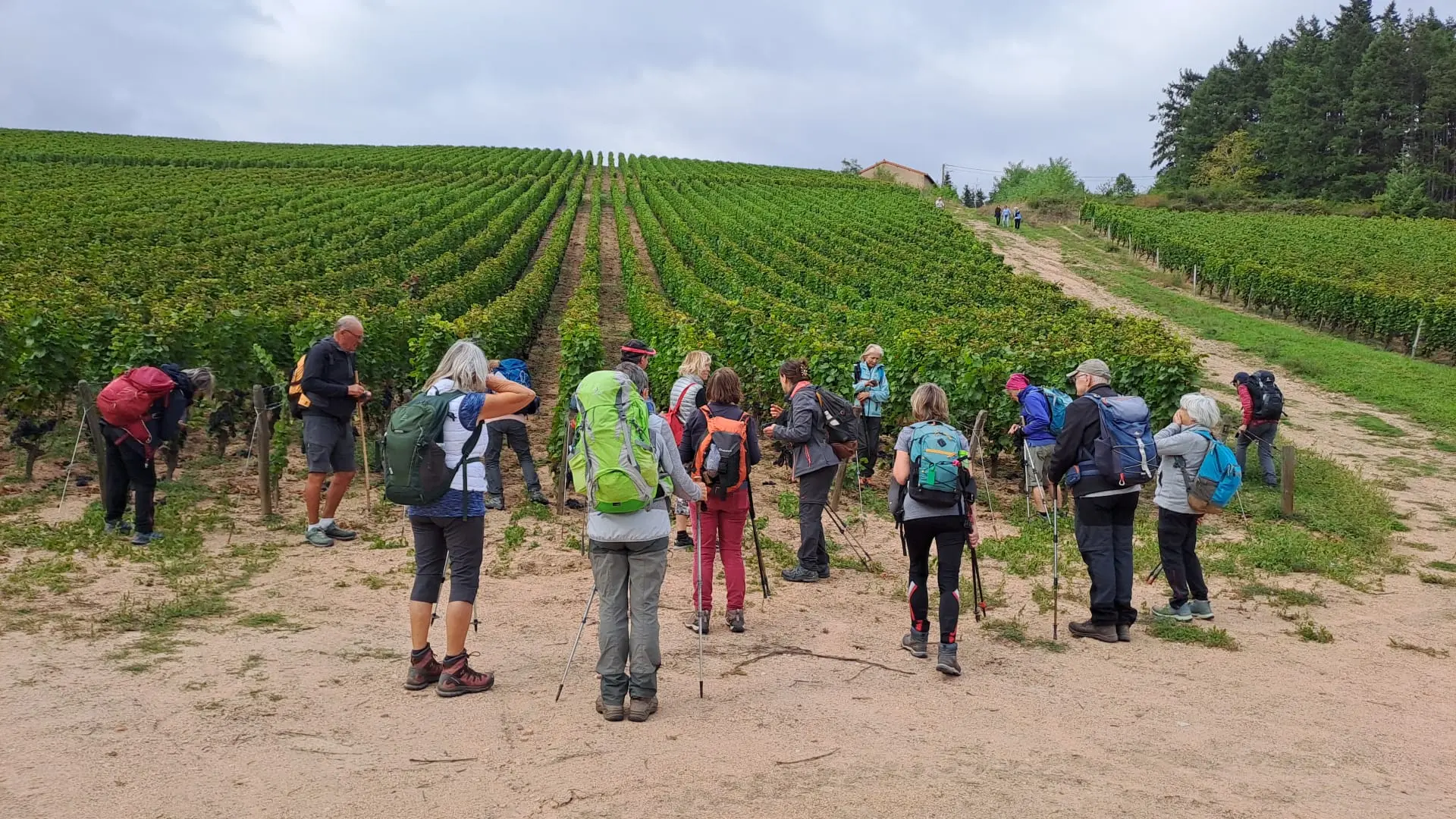 Itinérance au cœur des Monts de la Madeleine