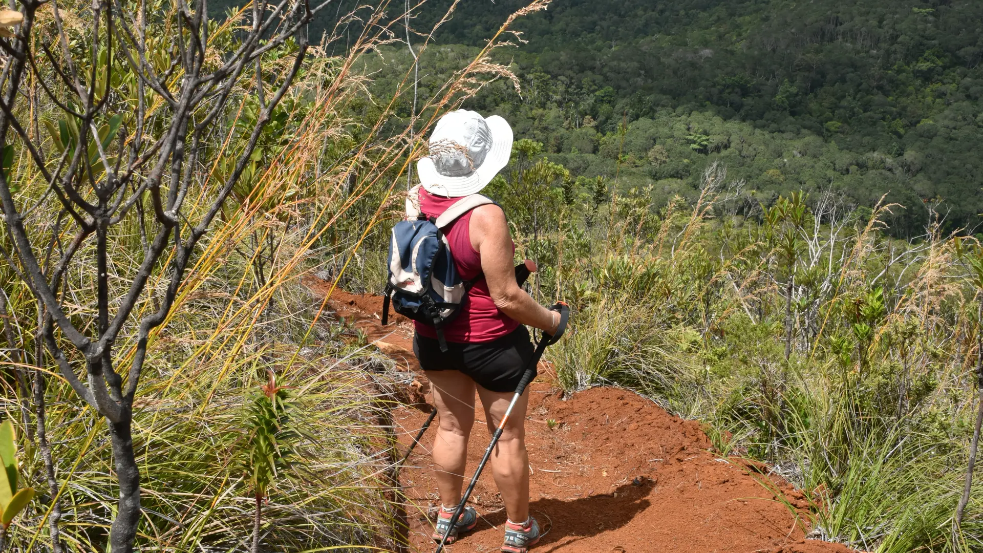 Point de vue sur la He Rivière Bleue