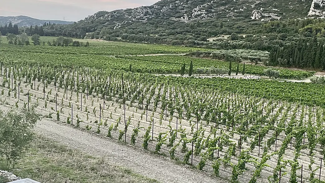 Evenement terrasse Vallon des Glauges